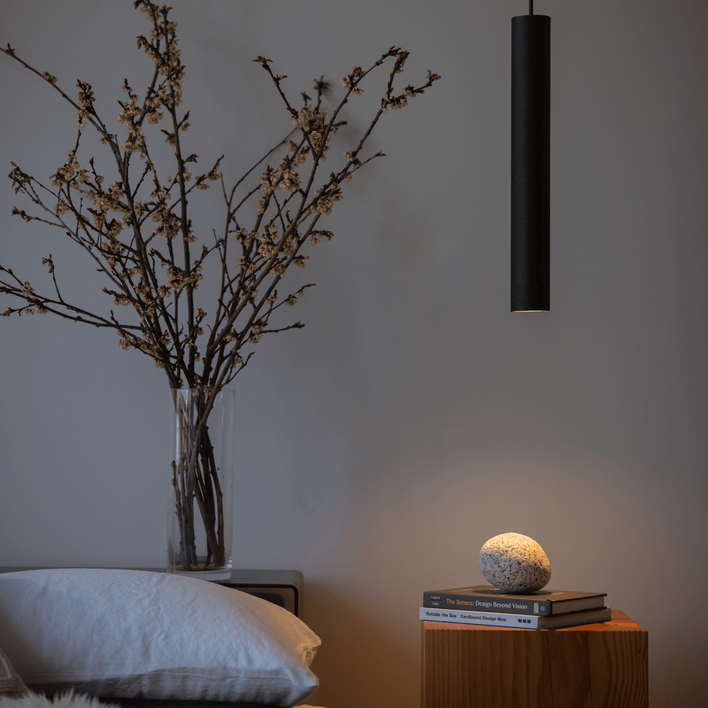 45v Roest Steel Hanging Pendant Light by GrayPants - Interitower | UK