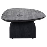 Hudson Black Mango Wood Coffee Table by Richmond Interiors - Maison Rêves UK