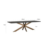 Blackbone Black Rustic Rectangular Dining Table with Brass Base by Richmond Interiors - Maison Rêves UK