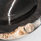 Petrified Wood Bowl