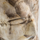 Robin Petrified Wood Bust