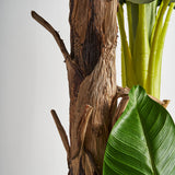 Platanero Faux Plant