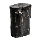 Telti Petrified Wood Side Table