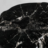 Telti Petrified Wood Side Table