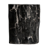 Telti Petrified Wood Side Table