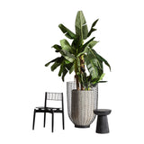 Plissé Wood Side Table