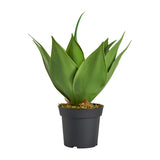 Lotus Faux Plant