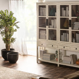 Pivka Off White Elm Wood Cabinet Glass Doors