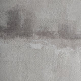 Cleon Canvas