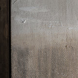 Cleon Canvas