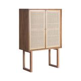 Gondorf Brown Mango Wood Cabinet