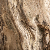 Khaled Suar Wood Coffee Table