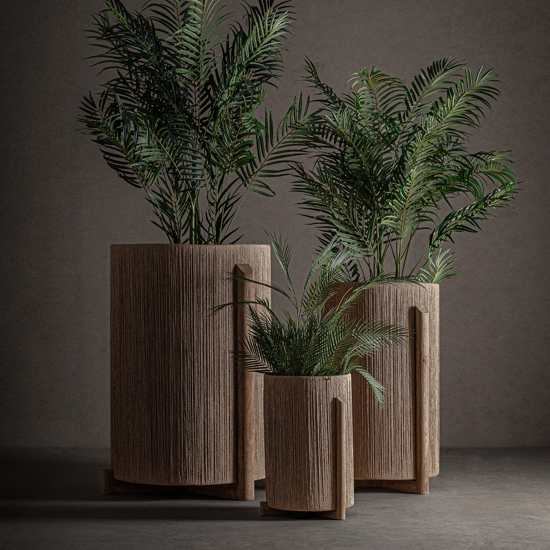 Jacquard Plant Pot Large