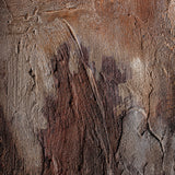 Eric Canvas