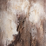 Eric Canvas