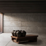 Brutalist Natural Sal Wood Coffee Table