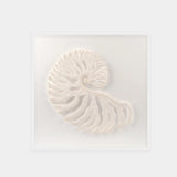 Abstract White Coral Wall Art 2