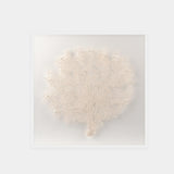 Abstract White Coral Wall Art 7