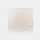 Abstract White Coral Wall Art 8