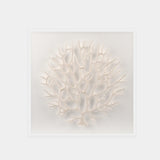 Abstract White Coral Wall Art 9