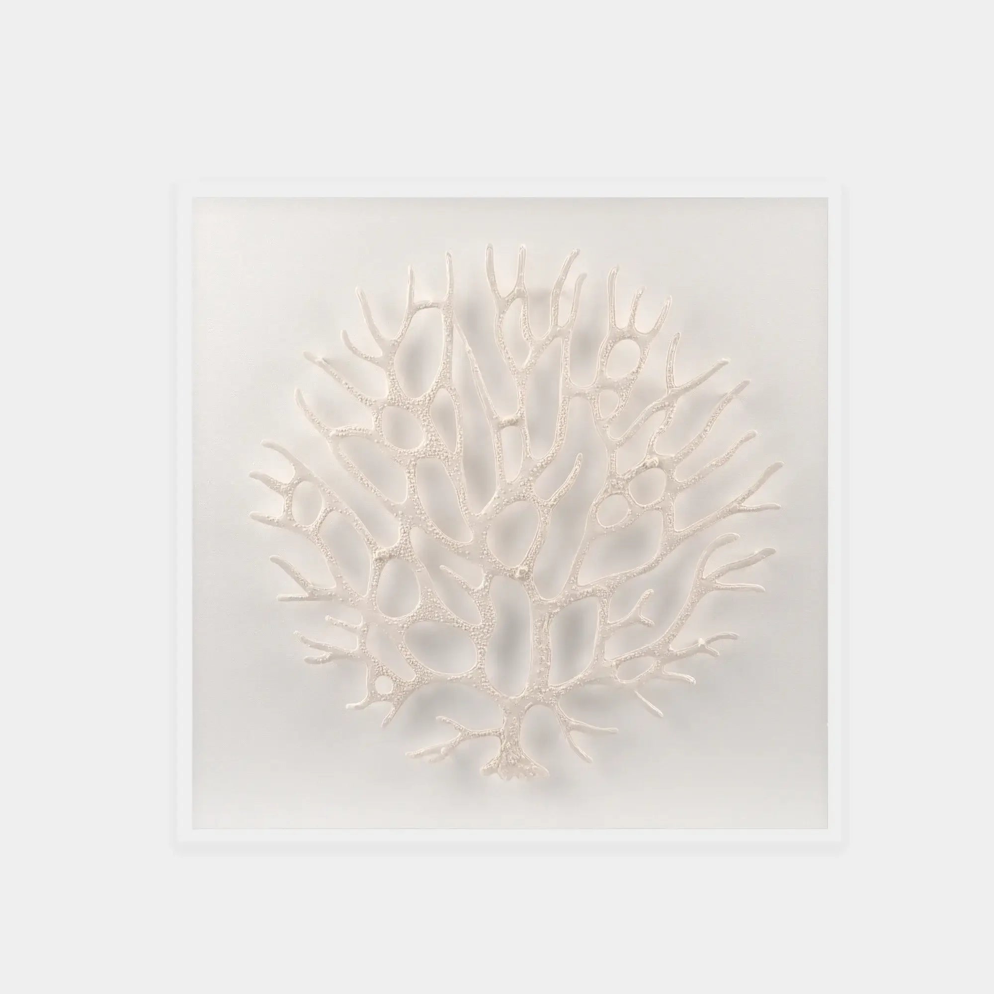 Abstract White Coral Wall Art 9