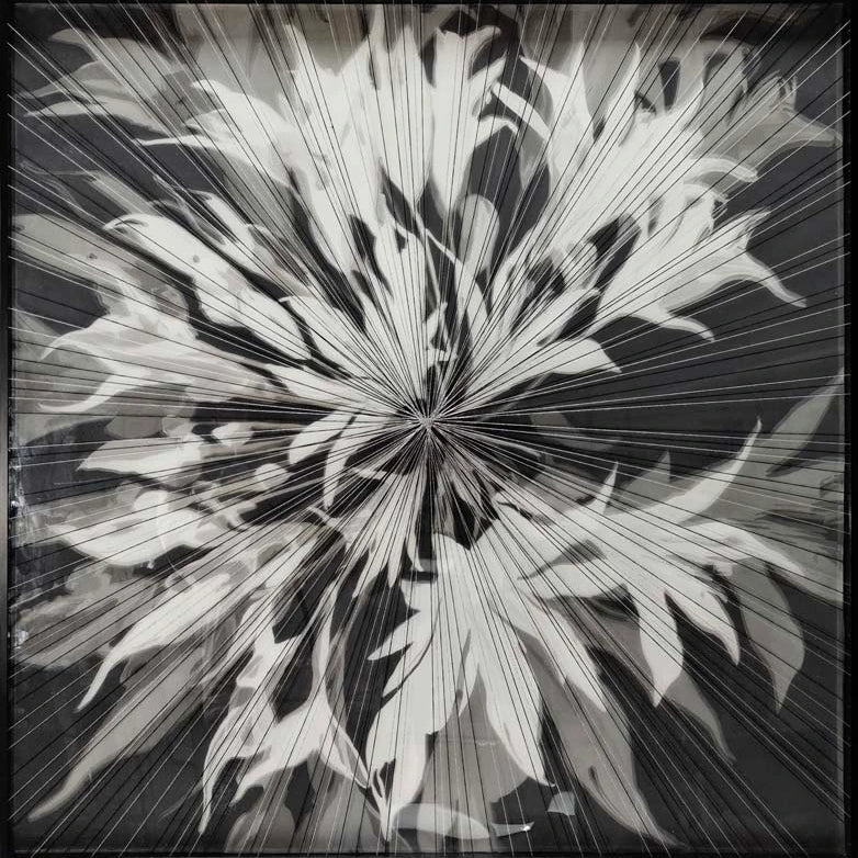 Afterglow Wall Art