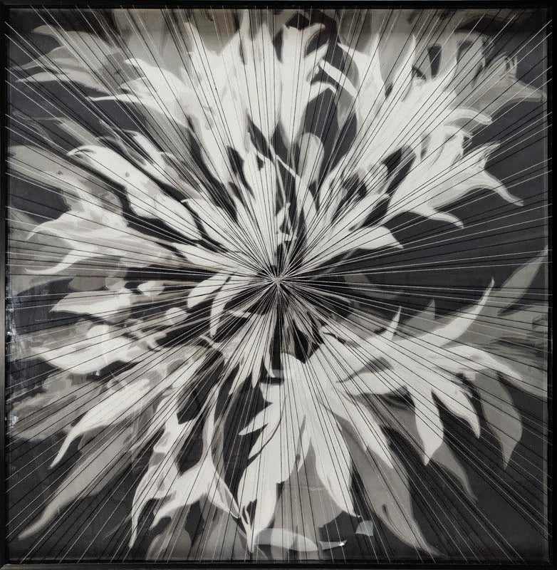 Afterglow Wall Art