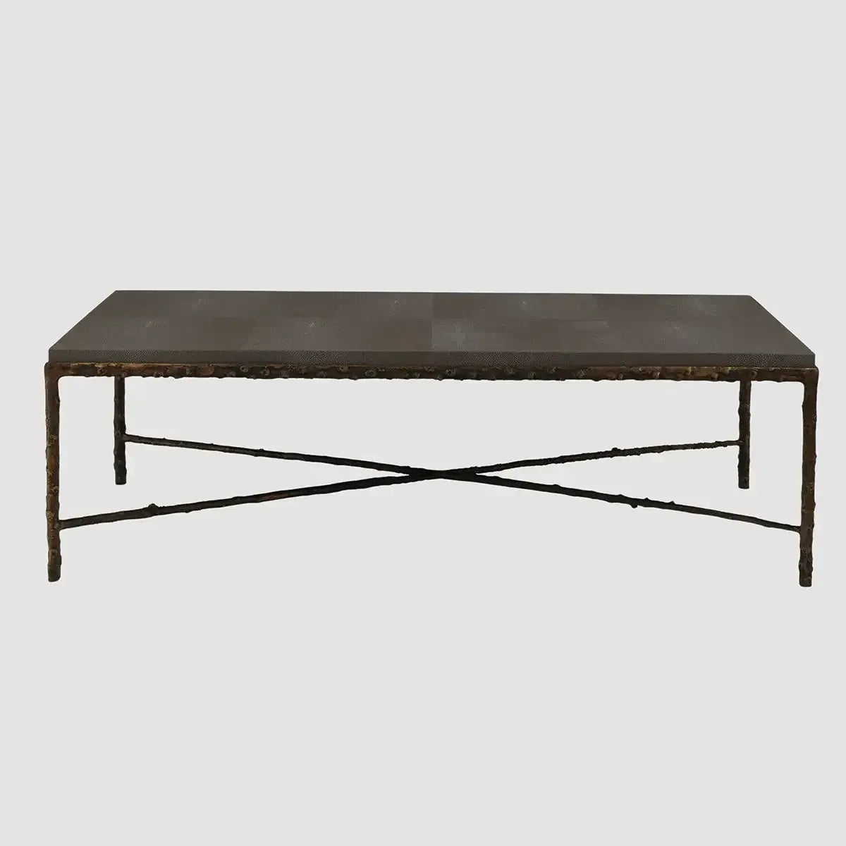 Arun Coffee Table Bronze Dorato Grey Shagreen Leather