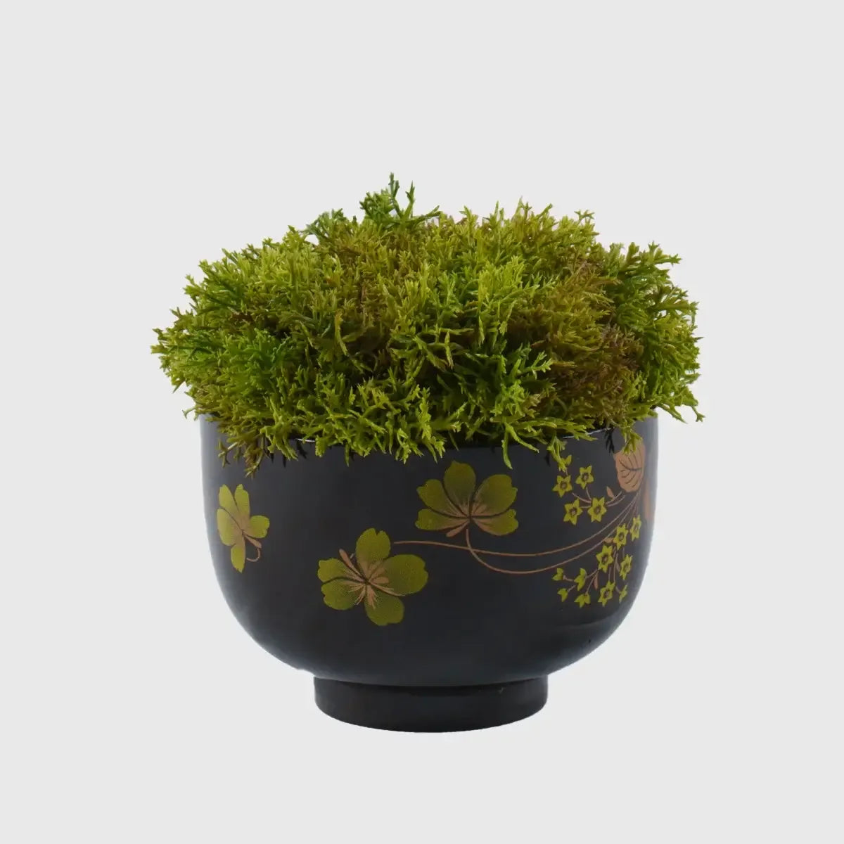 Black Ceramic Bowl with Moss