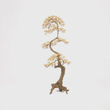 Bronze Bonsai Sculpture Large