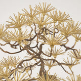 Bronze Bonsai Sculpture