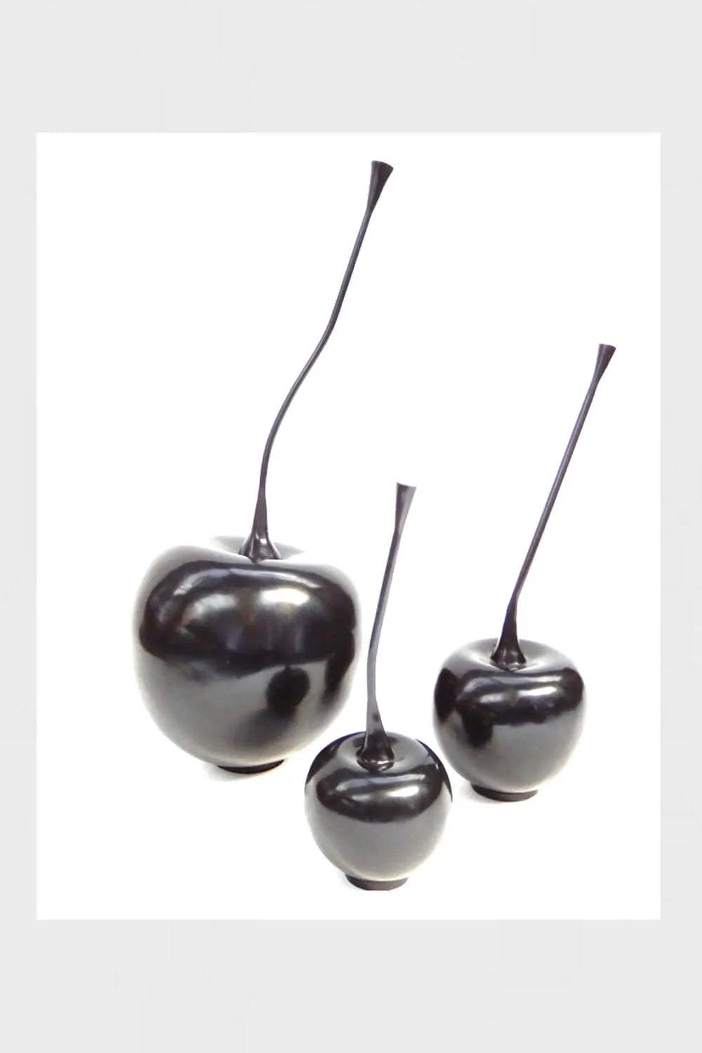 Bronze Cherries Black