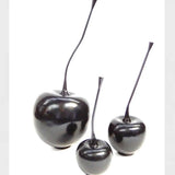 Bronze Cherries Black