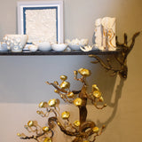 Bronze Coral Shelf