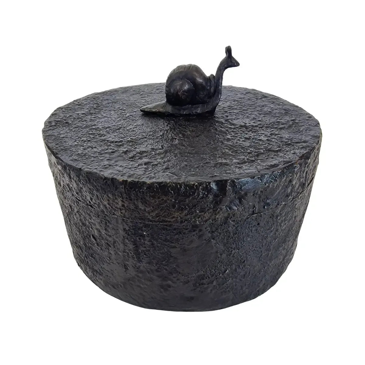 Bronze Snail Box