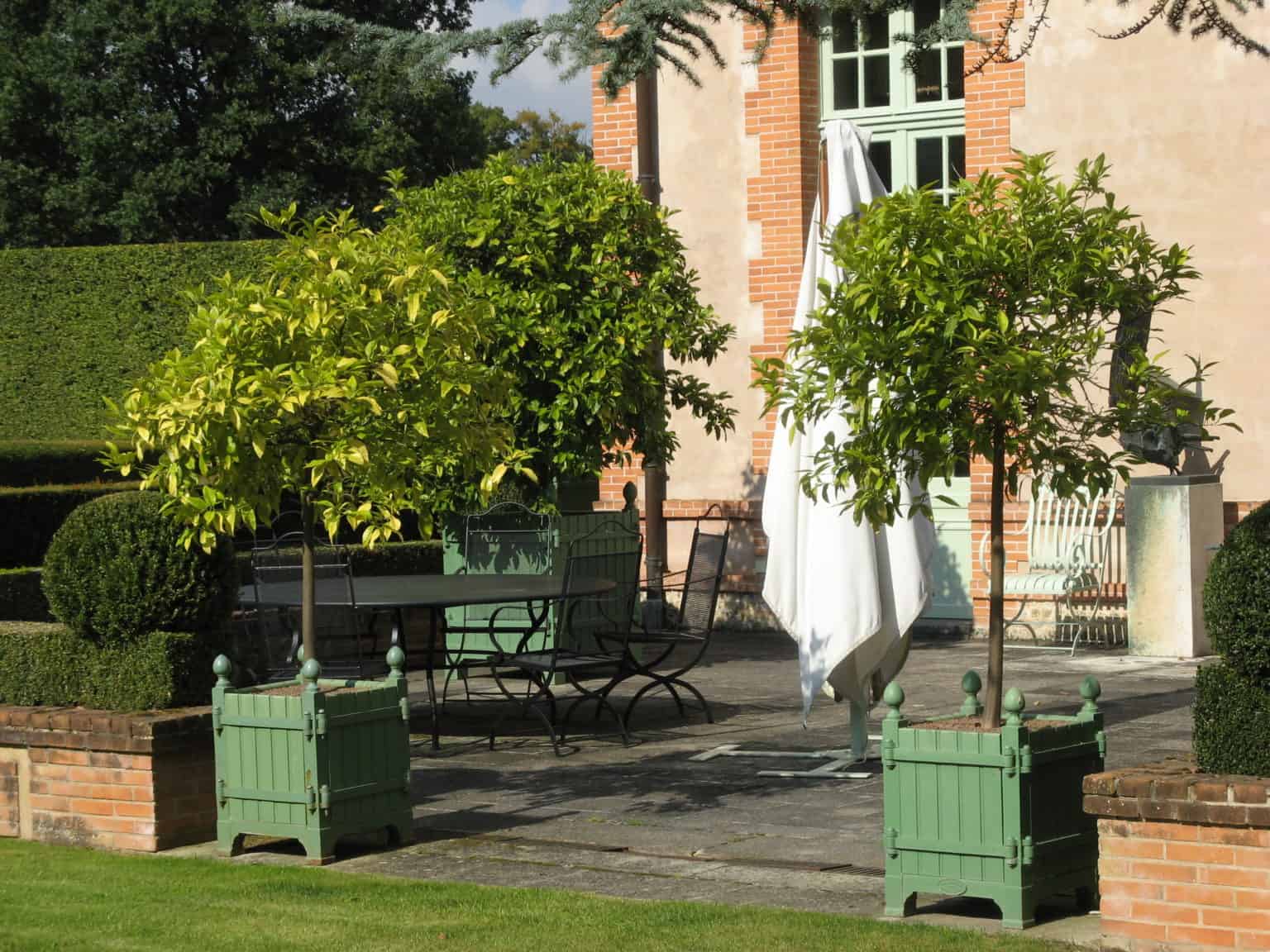 Caisse de Versailles planters in multiple sizes