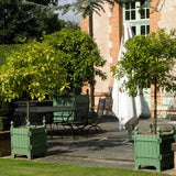 Caisse de Versailles planters in multiple sizes