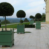 Large 800mm Caisse de Versailles in Versailles Green
