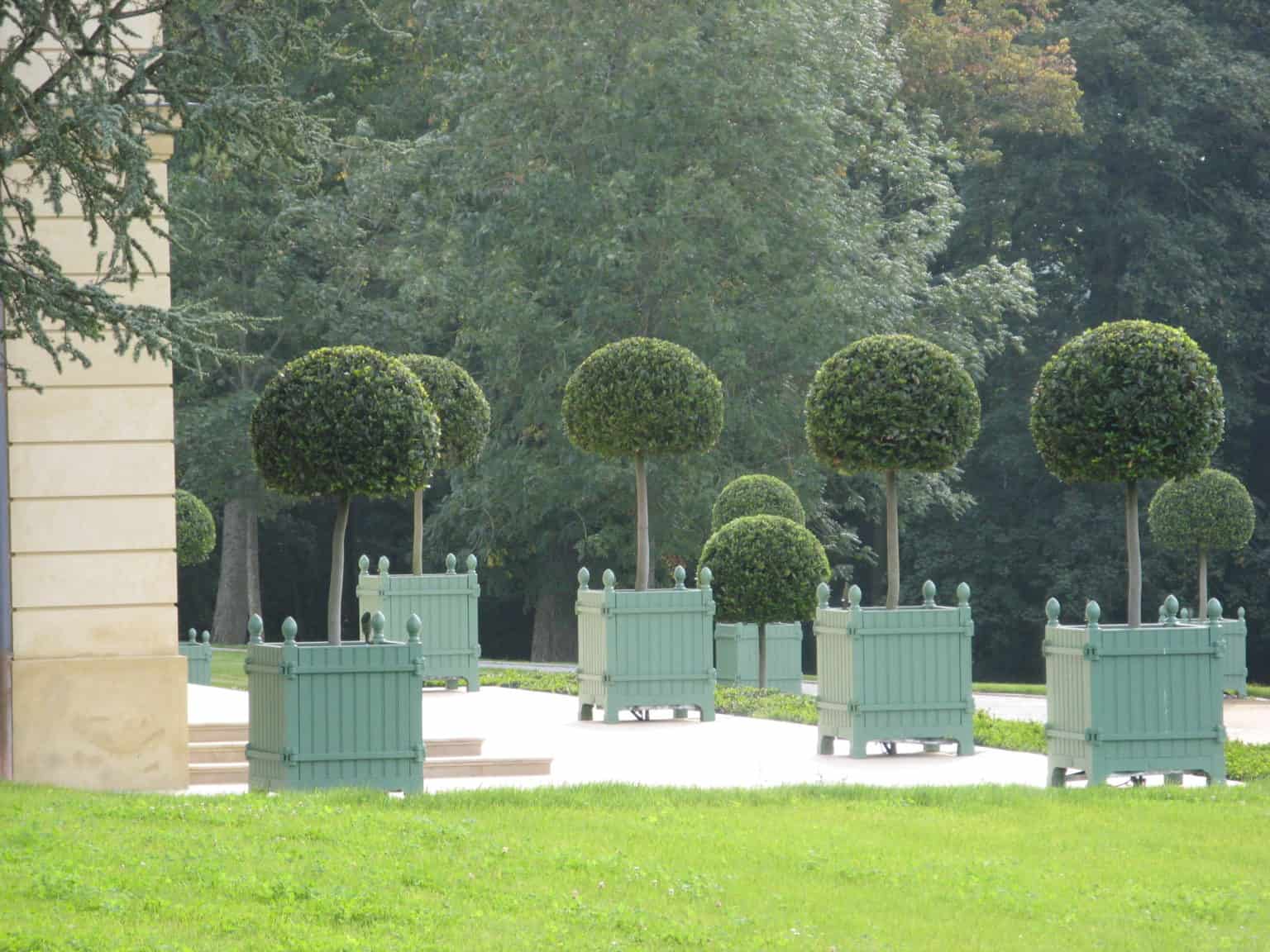 Caisse de Versailles 800mm garden setting