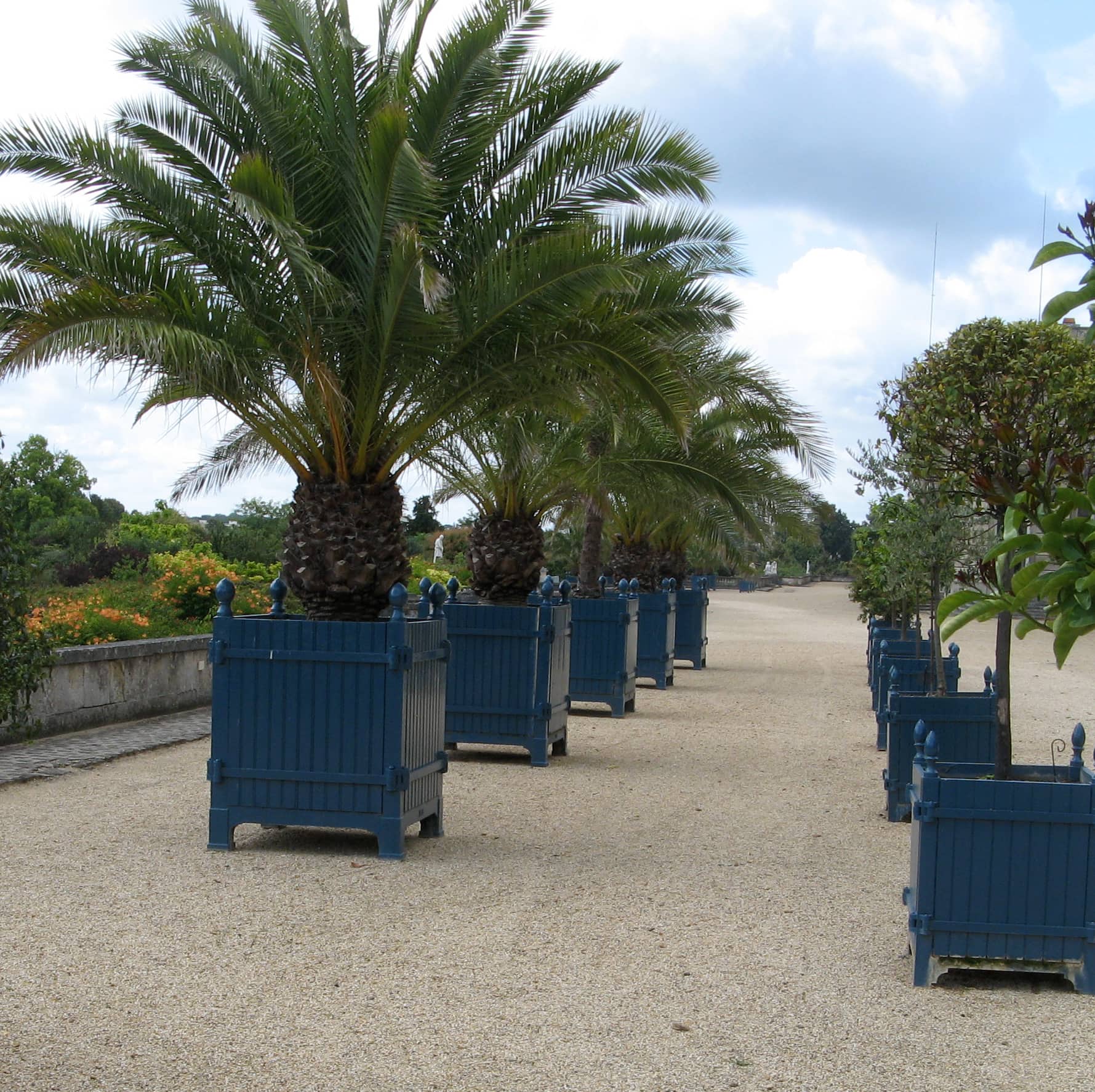Caisse de Versailles in custom client colour