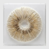 Circle of Stillness Handmade Dimensional Paper Wall Sculpture