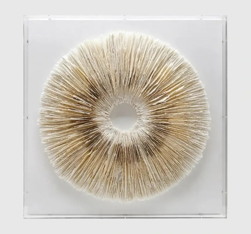Circle of Stillness Handmade Dimensional Paper Wall Sculpture