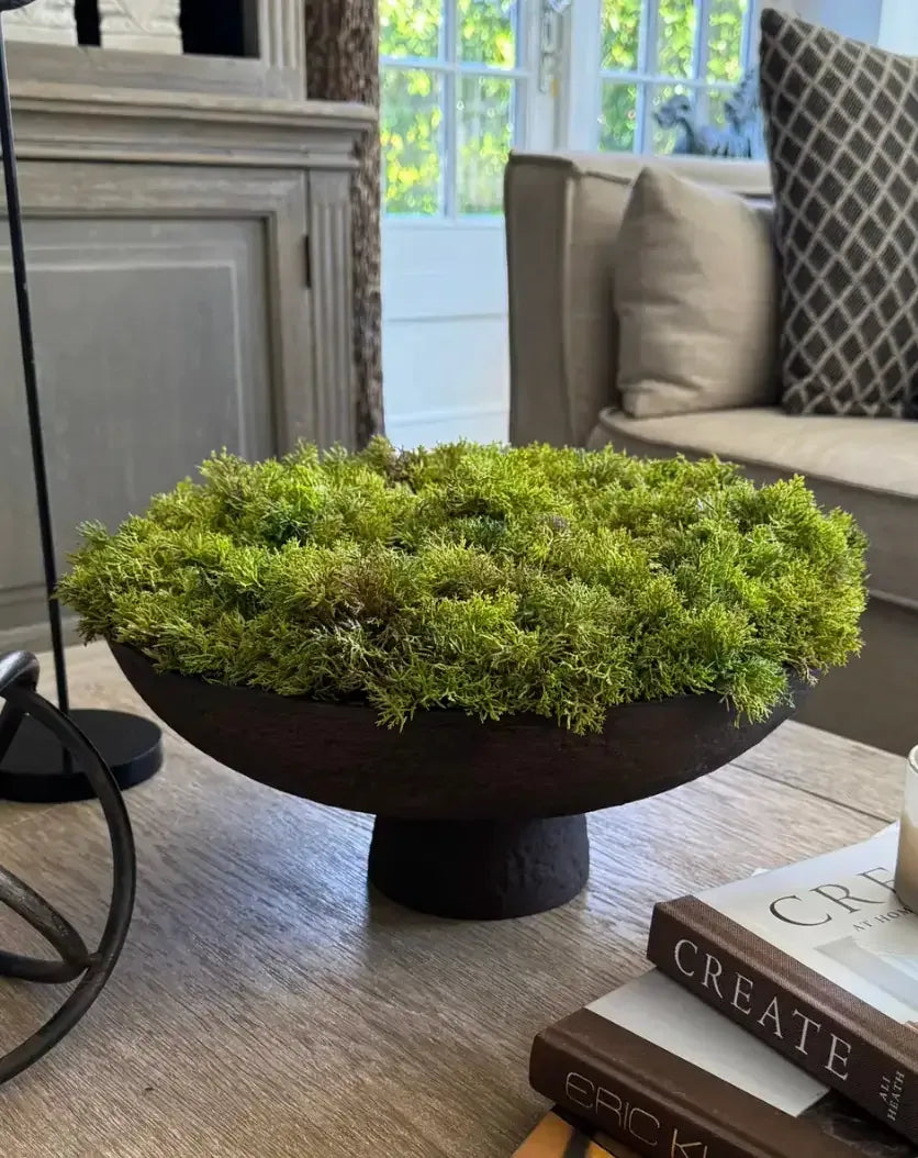 Curly Moss in a Brown Footed Stone Bowl