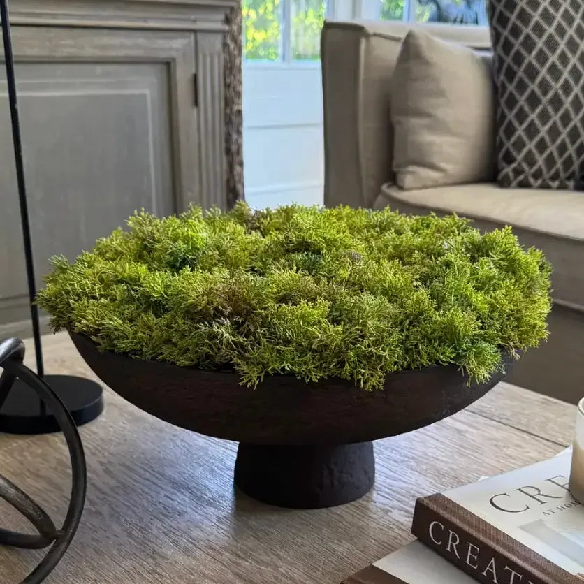Curly Moss in a Brown Footed Stone Bowl