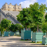 Caisse de Versailles planters in palace garden setting