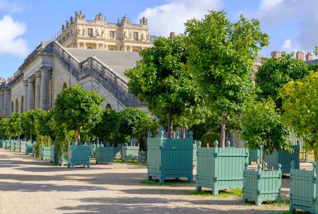 Caisse de Versailles planters in palace garden setting