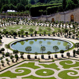 Caisse de Versailles planters in formal garden