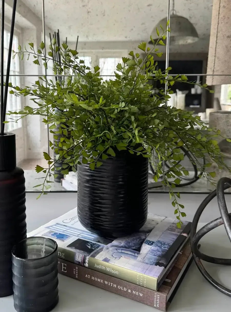 Maidenhair Fern in a Black Carved Vase