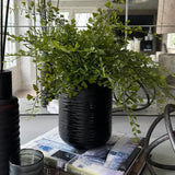 Maidenhair Fern in a Black Carved Vase