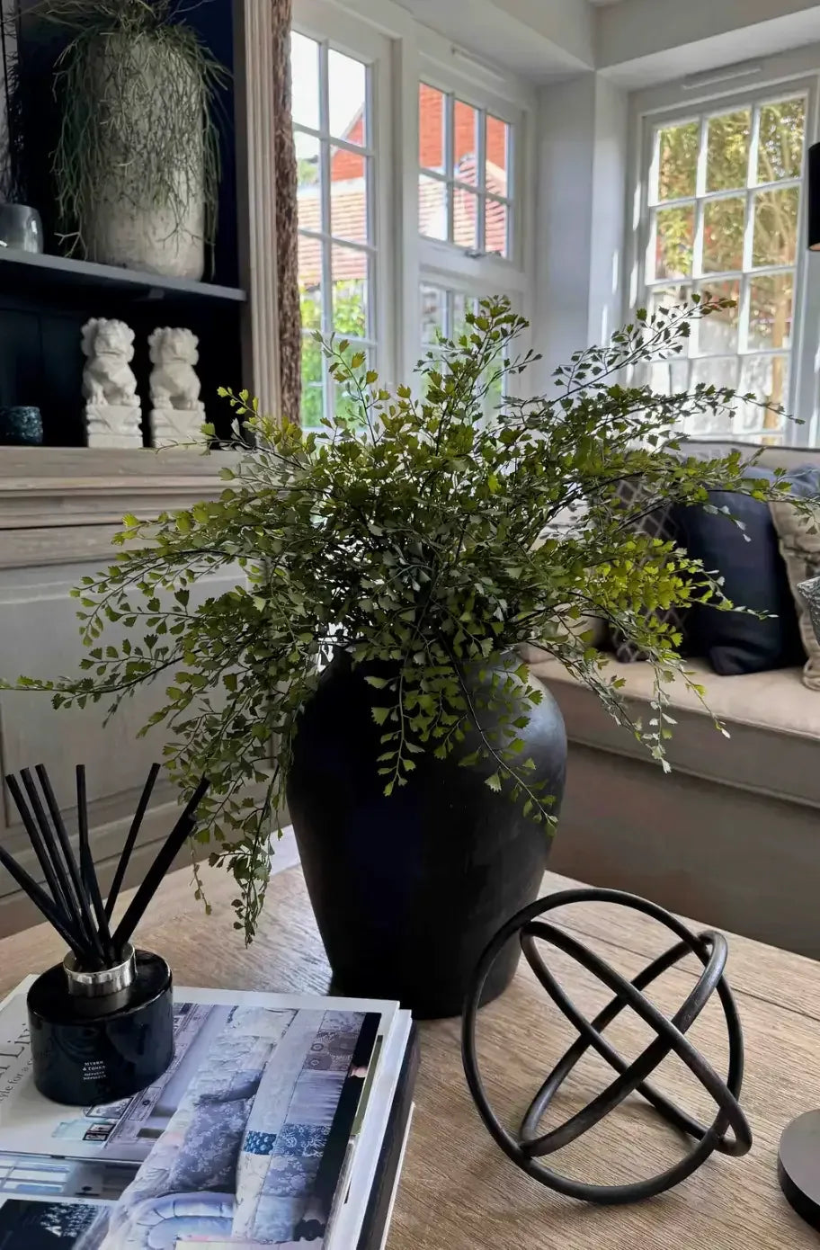 Maidenhair Fern in a Black Terracotta Pot